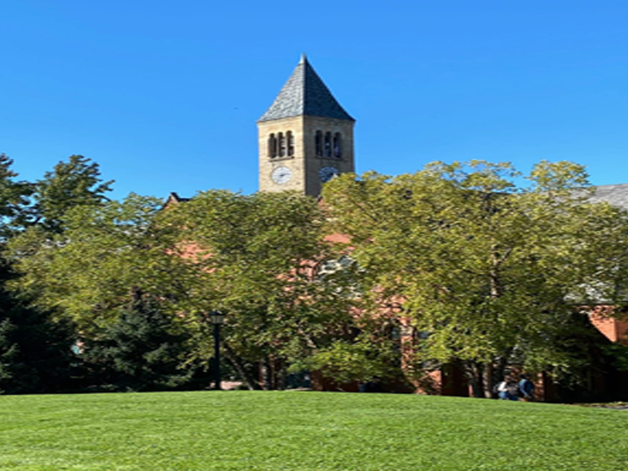 Toller Tours College Concierge