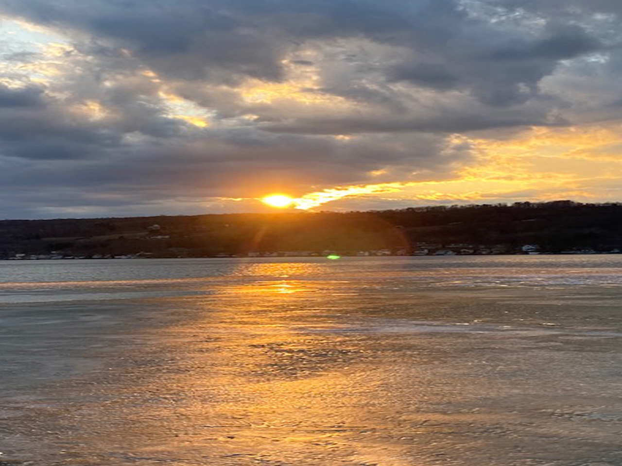 Toller Tours Curated Finger Lakes
